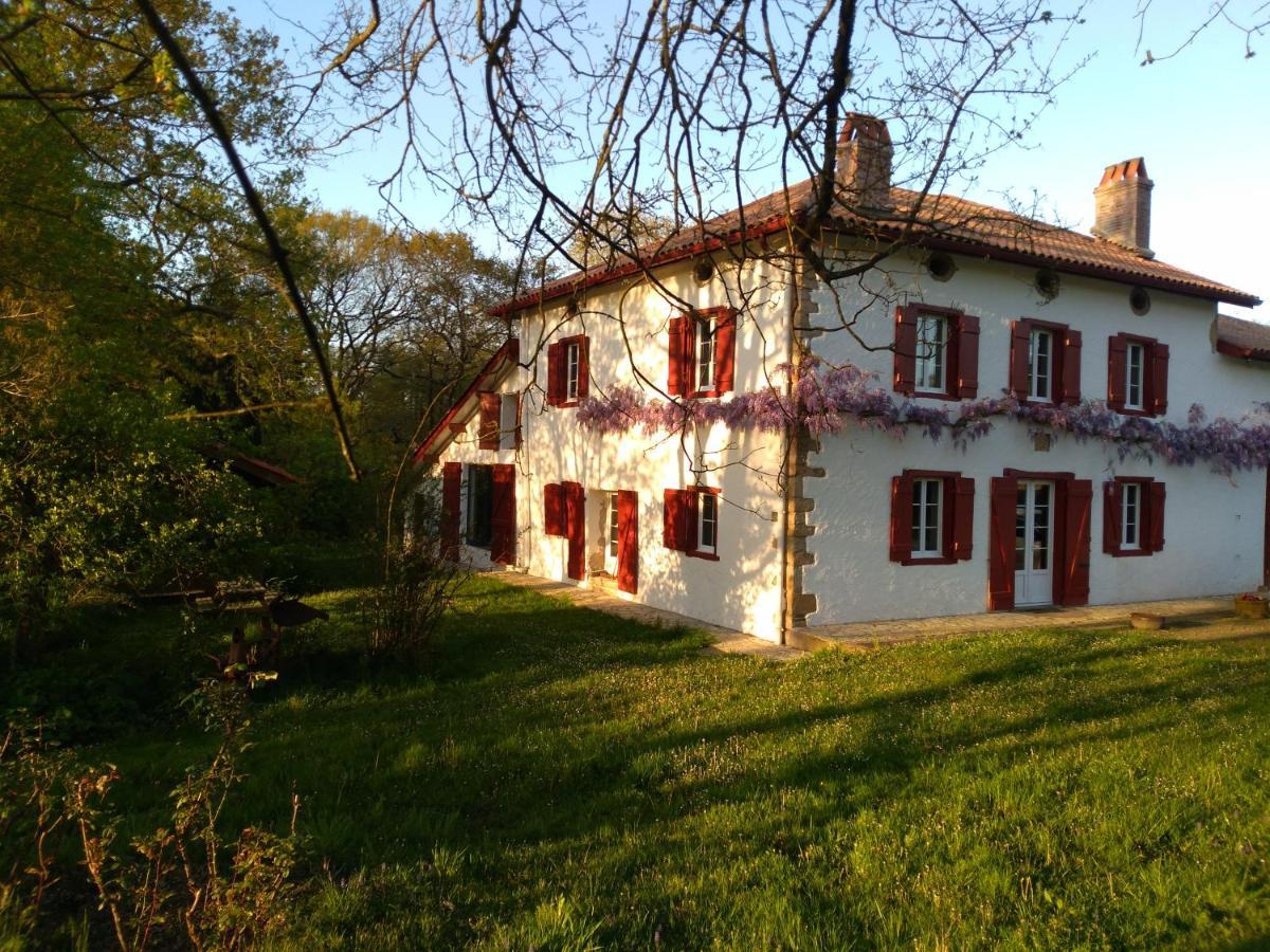 Chambres Maison Labourdasse Saint-Martin-de-Hinx Bagian luar foto